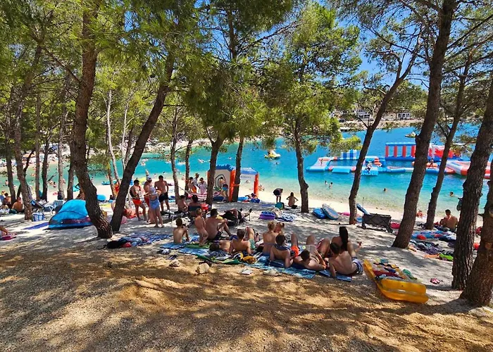 Mobile Tortuga *