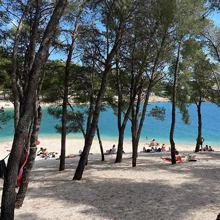 Mobile Tortuga * Drage