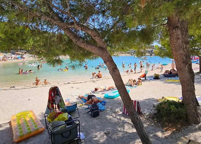 Mobile Tortuga * Drage