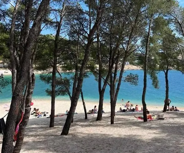 Mobile Tortuga * Drage